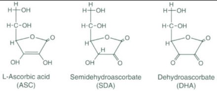 Types of ascorbate and ascorbic acid