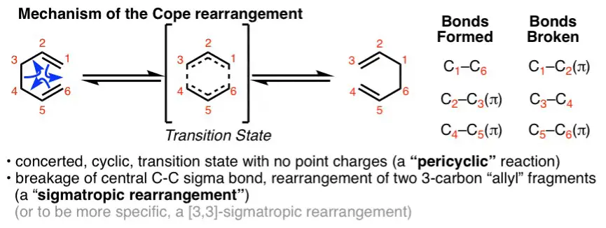 Step-by-step guide to executing a cope and claisen rearrangement