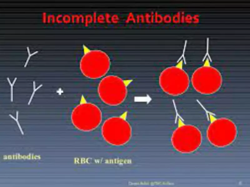 Difference Between Complete And Incomplete Antibodies