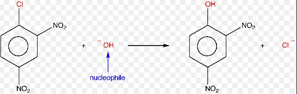 Difference Between Electrophilic And Nucleophilic Substitution