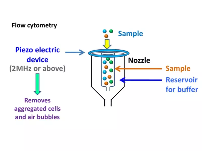 Difference Between Flow Cytometry And Facs