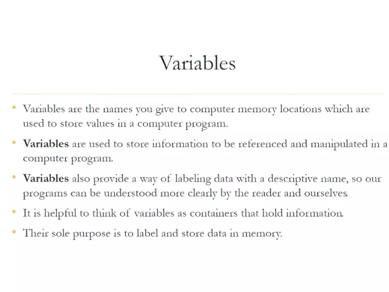 Difference Between Identifier And Variable