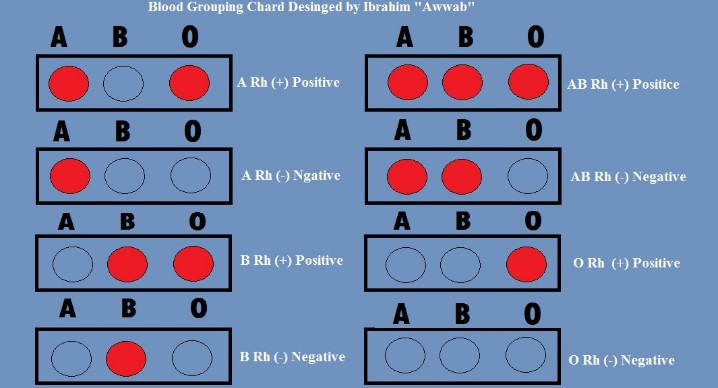 Difference Between O Positive And O Negative