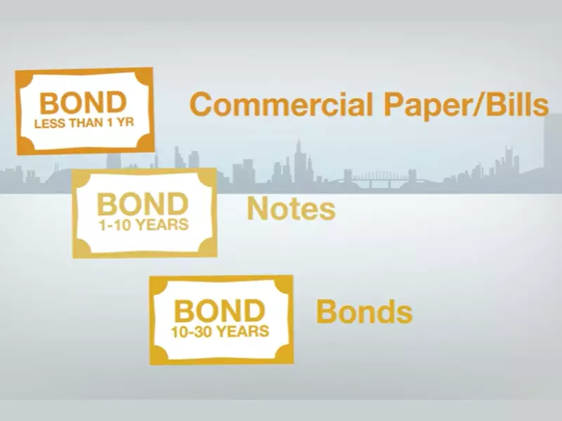 Difference Between Shares And Bonds