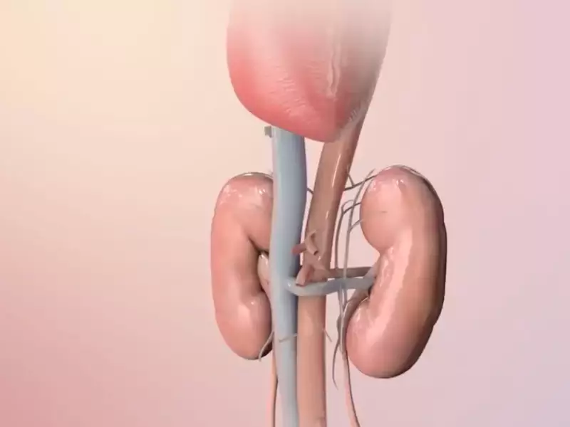 Relation Between Hemoglobin And Creatinine