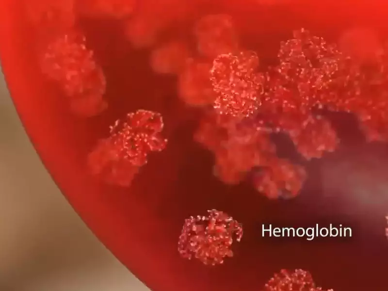 Relation Between Hemoglobin And Creatinine
