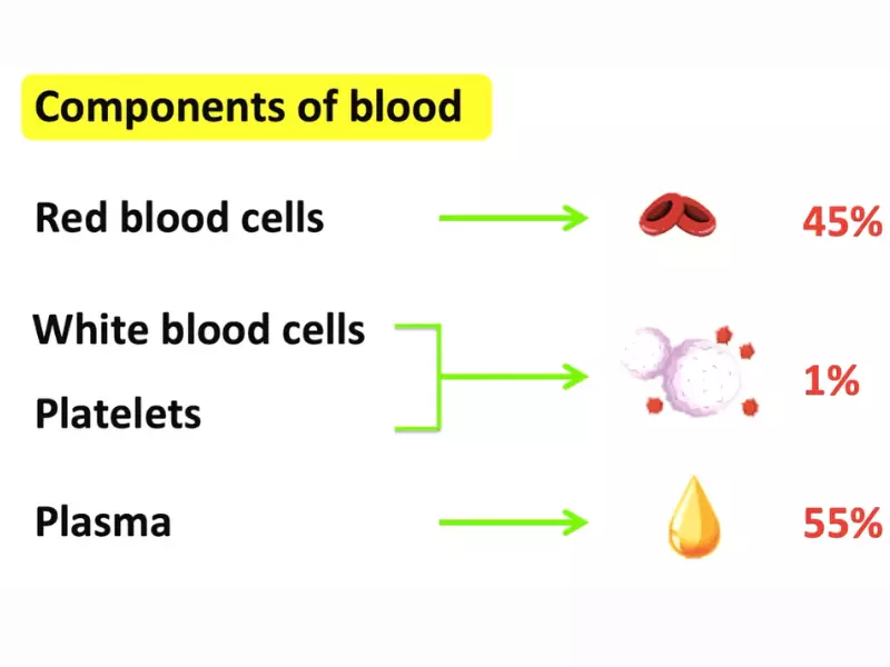 Relation Between Wbc And Platelets