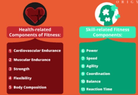 The difference between health-related and skill-related fitness