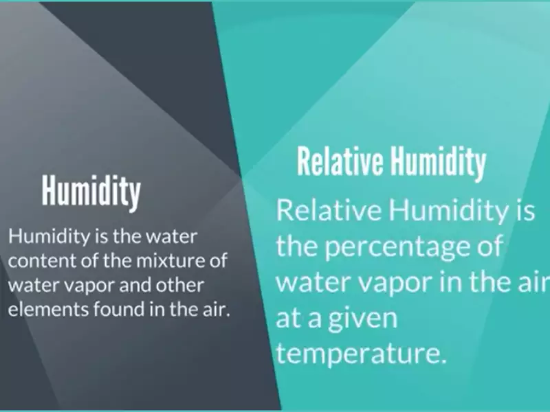 What's The Difference Between Humidity And Relative Humidity