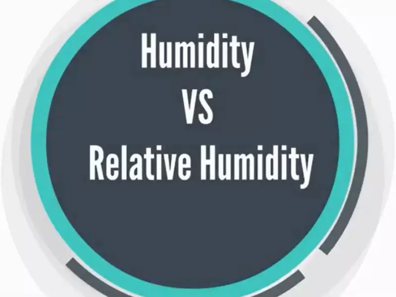 What's The Difference Between Humidity And Relative Humidity